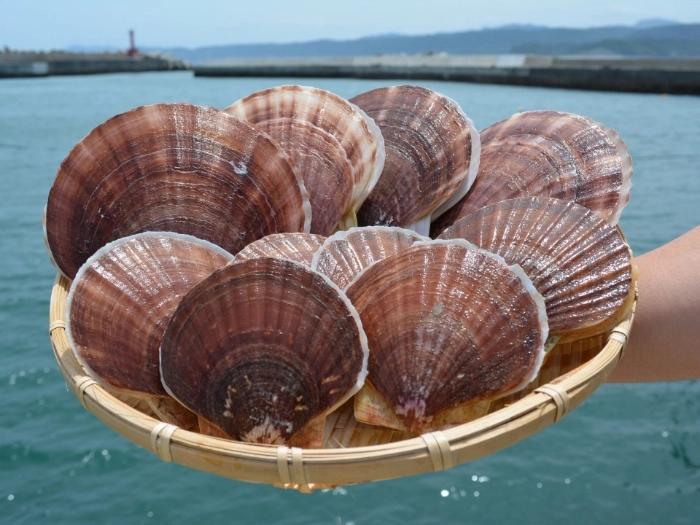 野田村商工会青年部