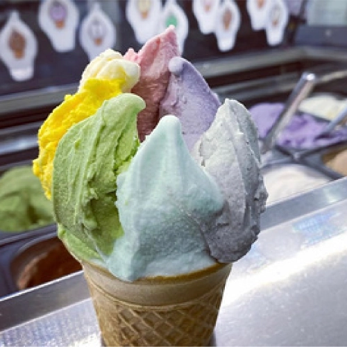 手づくりアイスクリーム牧舎 松ぼっくり